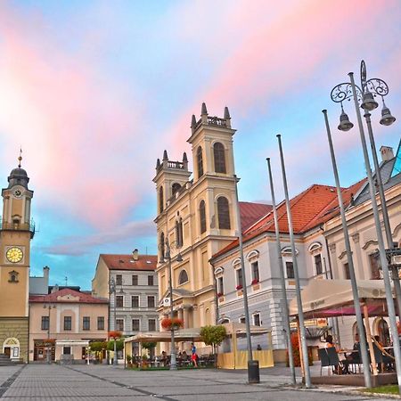 Apartman Central, Self Check In 24 H, Free Parking Banska Bystrica Bagian luar foto