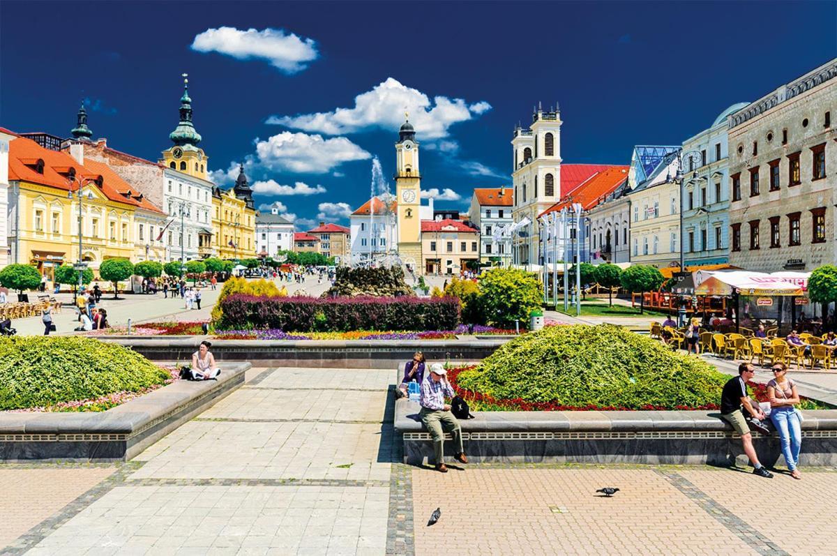 Apartman Central, Self Check In 24 H, Free Parking Banska Bystrica Bagian luar foto