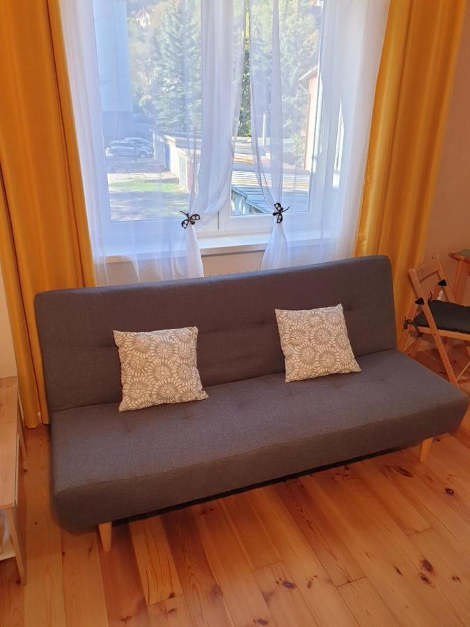Apartman Central, Self Check In 24 H, Free Parking Banska Bystrica Bagian luar foto